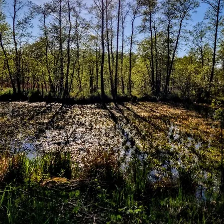 Ferienhaus Pora Relaksu