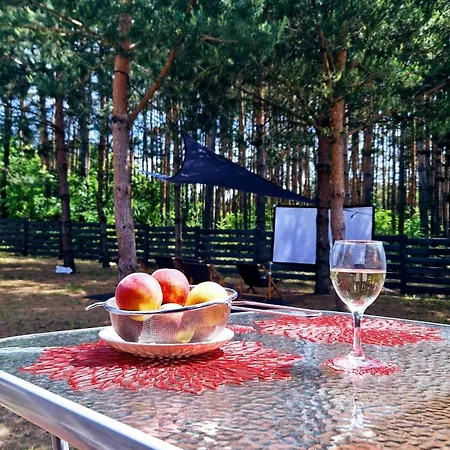 Ferienhaus Pora Relaksu